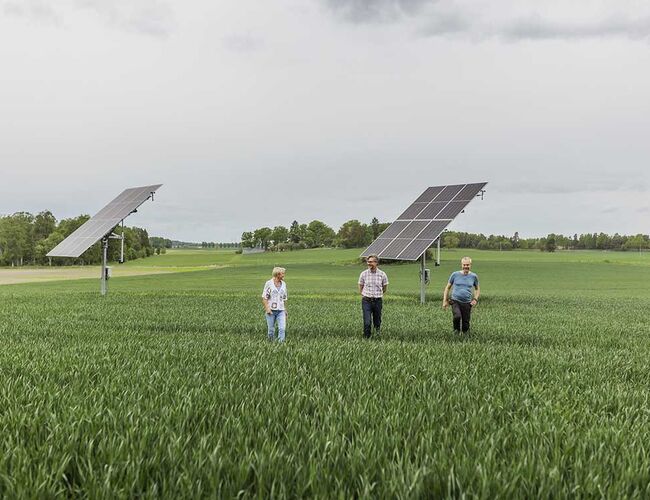 På Eneby gård produseres det i dag solkraft som brukes på gården, mens overskuddet selges videre til strømnettet. Nå er målet at overskuddet av solkraft i stedet skal brukes til fossilfri produksjon av ammoniakk. Foto: Lina Östling På Eneby gård produseres det i dag solkraft som brukes på gården, mens overskuddet selges videre til strømnettet. Nå er målet at overskuddet av solkraft i stedet skal brukes til fossilfri produksjon av ammoniakk. Foto: Lina Östling