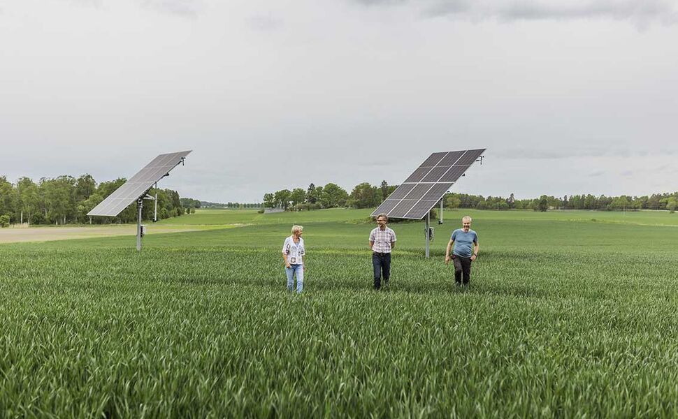 På Eneby gård produseres det i dag solkraft som brukes på gården, mens overskuddet selges videre til strømnettet. Nå er målet at overskuddet av solkraft i stedet skal brukes til fossilfri produksjon av ammoniakk. Foto: Lina Östling