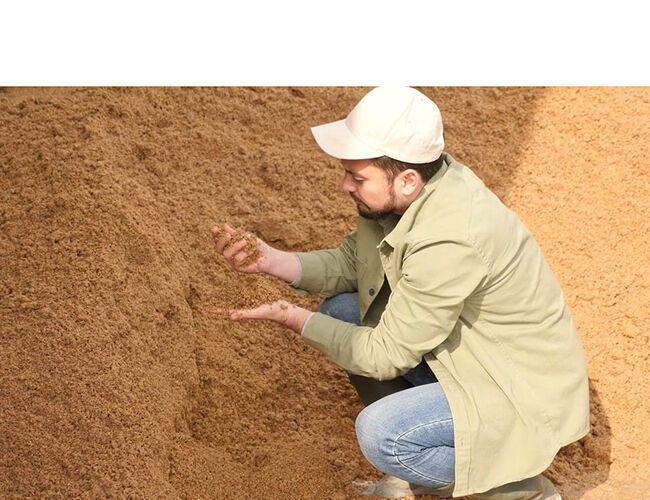 Soya dyrkes først og fremst for proteinet, som brukes i dyrefôr. Oljen som blir igjen, kan brukes til å fremstille mykgjørere, en viktig komponent i vinylgulv, som tradisjonelt har vært laget av petroleum. Foto: Adobe Stock Soya dyrkes først og fremst for proteinet, som brukes i dyrefôr. Oljen som blir igjen, kan brukes til å fremstille mykgjørere, en viktig komponent i vinylgulv, som tradisjonelt har vært laget av petroleum. Foto: Adobe Stock