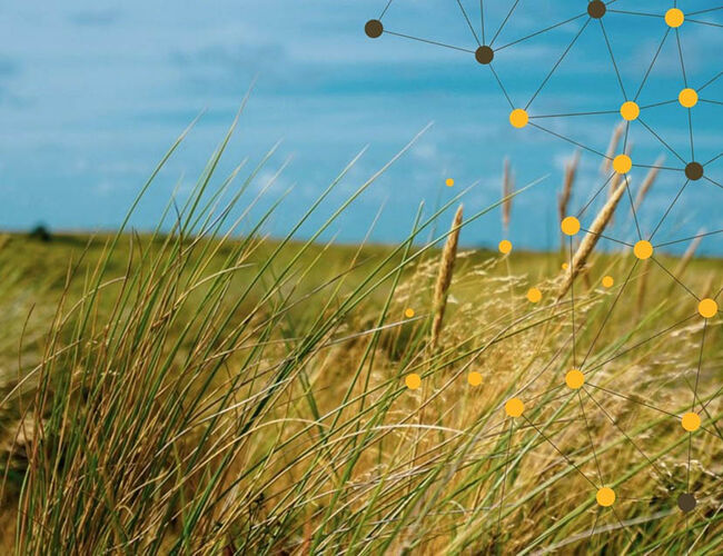 Microsoft utvikler et nytt datasenter i Sandnes kommune, i Stavanger-regionen. Foto: Microsoft Microsoft utvikler et nytt datasenter i Sandnes kommune, i Stavanger-regionen. Foto: Microsoft