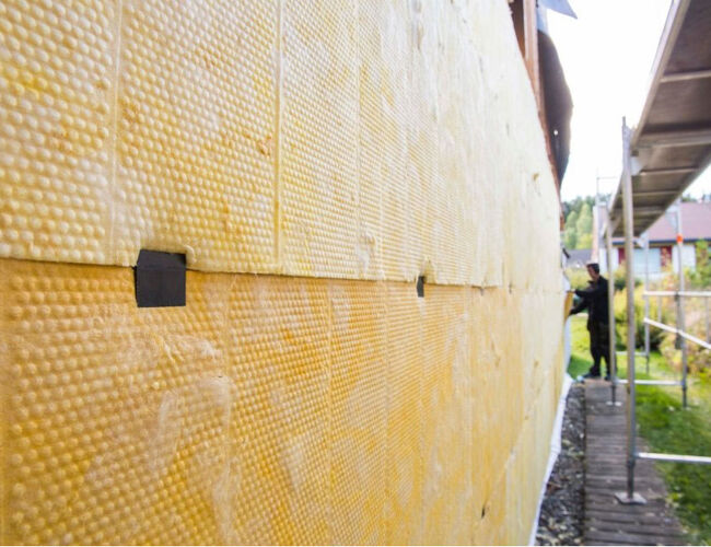 Foto: Glava Foto: Glava