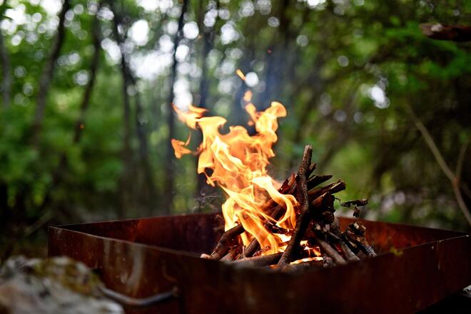 goranprodan1-fire-7622090_1920