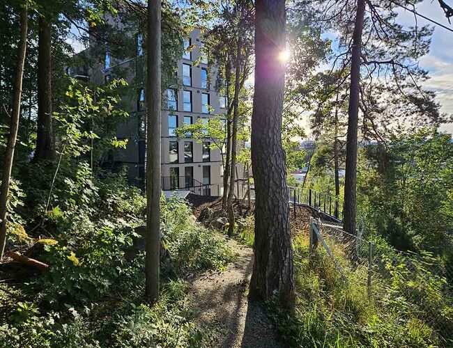 Målet er å skape mer sammenhengende og levende naturmiljøer, der planter, pollinatorer, fugler og andre arter kan inngå i økologiske samspill. Foto: LINK Arkitektur