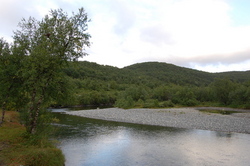 Skogsfjordelva_400x266